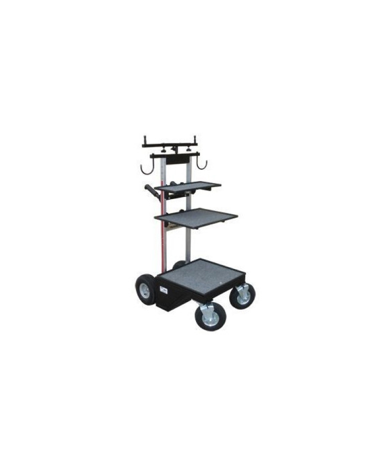 Vertical cart