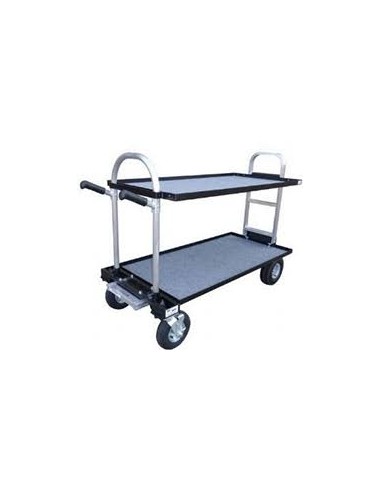 Senior cart