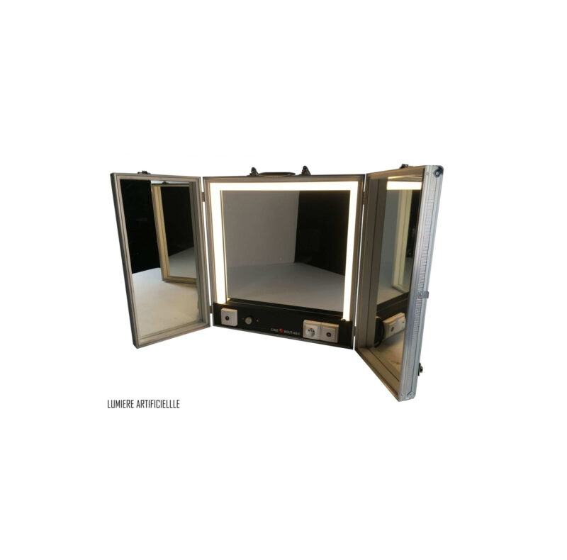 Artificial LED make-up triptych ice / day