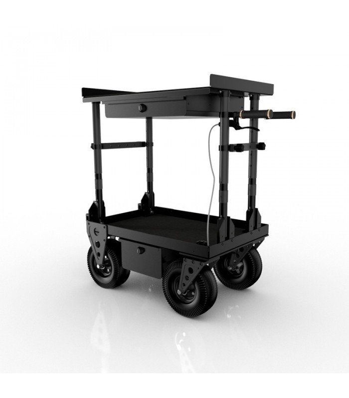 ECHO 30 cart